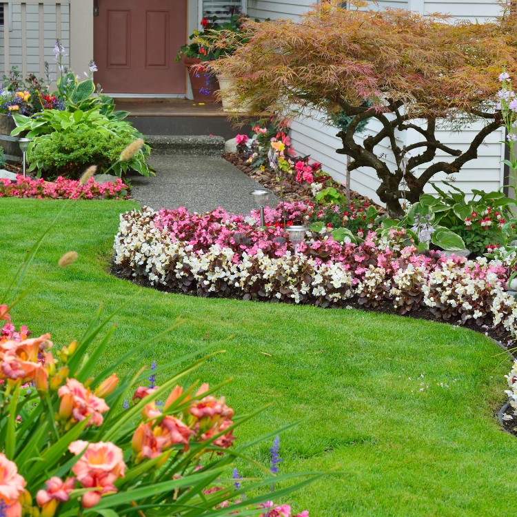 Lawn maintenance in Dubuque, IA Lawn maintenance in Dubuque, IA