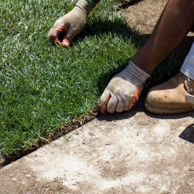 Lawn maintenance in Dubuque, IA