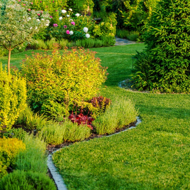 Lawn maintenance in Dubuque, IA